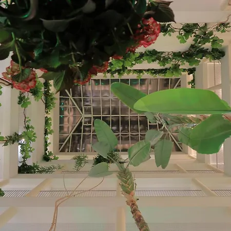 Petra البوفيرا