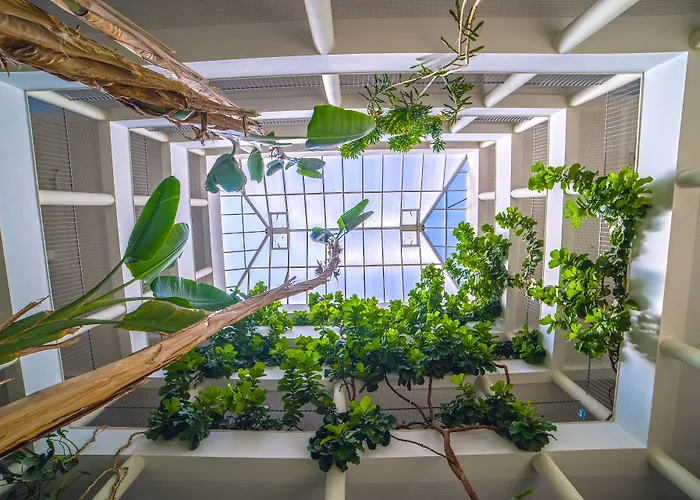 Petra Апарт-отель Албуфейра