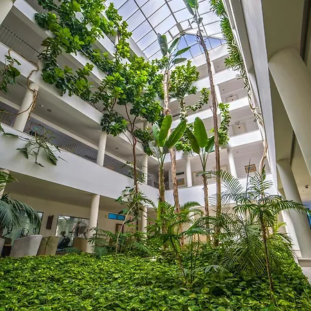 公寓式酒店 维拉佩特拉公寓式酒店 阿尔布费拉